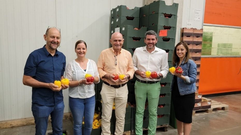 El consejero Antonio Luengo junto a importadores murcianos con producto expuesto en mercados alemanes. El consejero Antonio Luengo junto a importadores murcianos con producto expuesto en mercados alemanes.