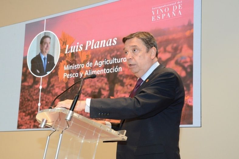 El ministro de Agricultura, Pesca y Alimentaci&oacute;n, Luis Planas.