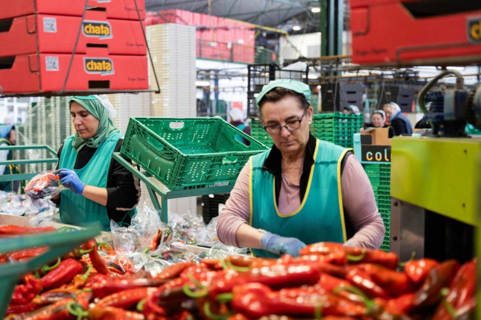 La empresa adem&aacute;s es un ejemplo de la garant&iacute;a de calidad que tienen los productos andaluces.