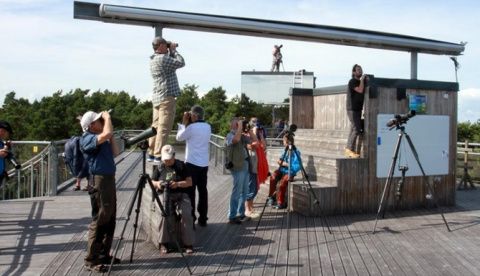 Falsterbo Bird Show.