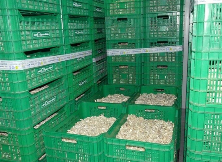 Los alimentos y bebidas que alcanzan de enero a mayo una cifra de 195,3 millones de euros.