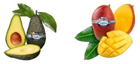 El nuevo diseño de packaging de SanLucar ayuda al consumidor final a identificar rápidamente el sabor o el grado de maduración que busca en la fruta. El nuevo diseño de packaging de SanLucar ayuda al consumidor final a identificar rápidamente el sabor o el grado de maduración que busca en la fruta.