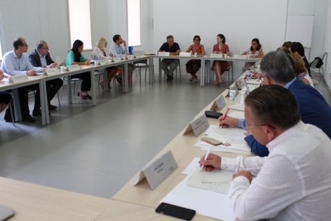 Esta comisi&oacute;n se ha constituido en el &aacute;mbito de las competencias de la Direcci&oacute;n General de Internacionalizaci&oacute;n.