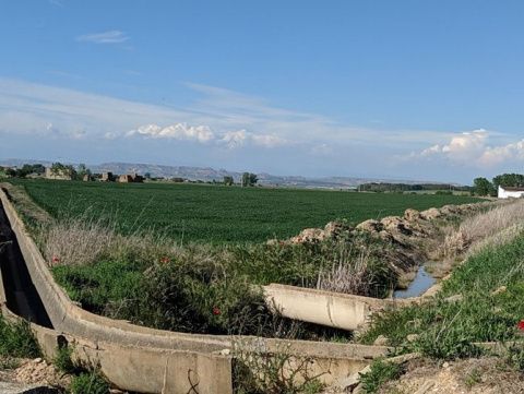 Arag&oacute;n es una de las comunidades aut&oacute;nomas que destacan en la producci&oacute;n y exportaci&oacute;n de fruta.