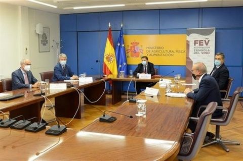 Luis Planas en la  asamblea de la Federaci&oacute;n Espa&ntilde;ola del Vino.