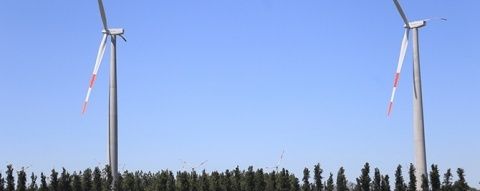 Acciona, parque e&oacute;lico.