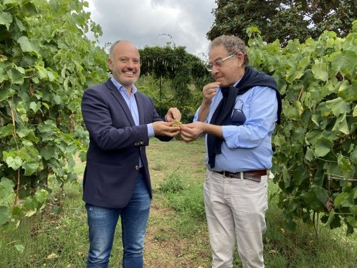 David Regades, conoció de cerca el plan estratégico hasta 2024 de la Bodega Gargalo. David Regades, conoció de cerca el plan estratégico hasta 2024 de la Bodega Gargalo.