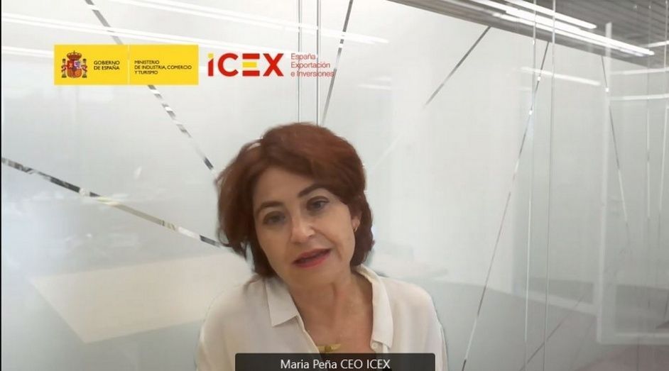 Mar&iacute;a Pe&ntilde;a, Consejera Delegada de ICEX, durante su intervenci&oacute;n.
