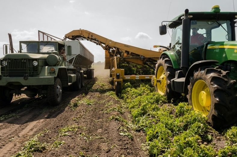 Sector agroalimentario espa&ntilde;ol.