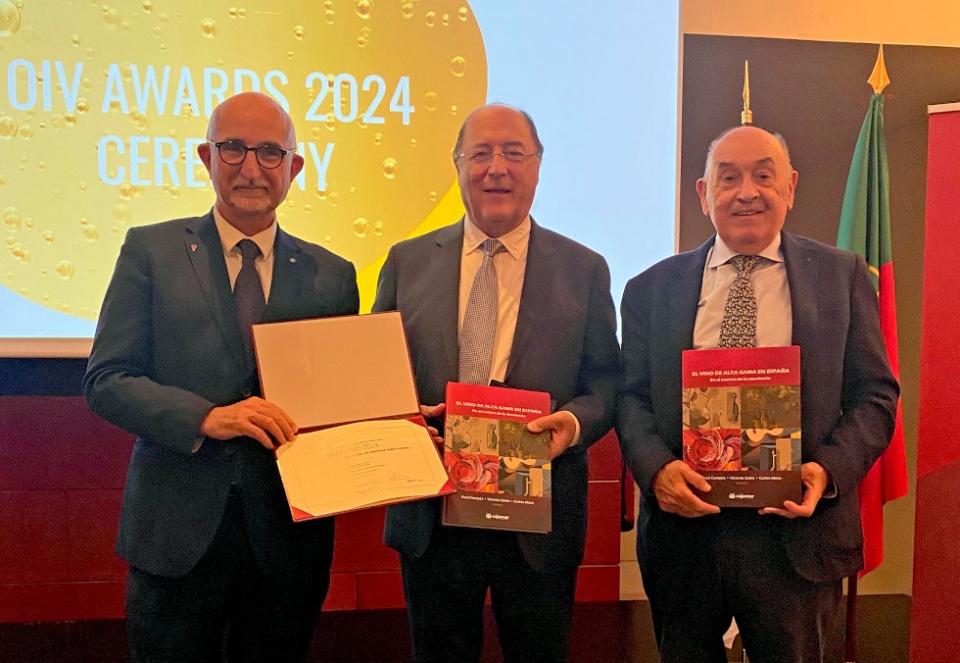 Carlos Moro, Ra&uacute;l Comp&eacute;s y Vicente Sot&eacute;s, recibieron el galard&oacute;n.