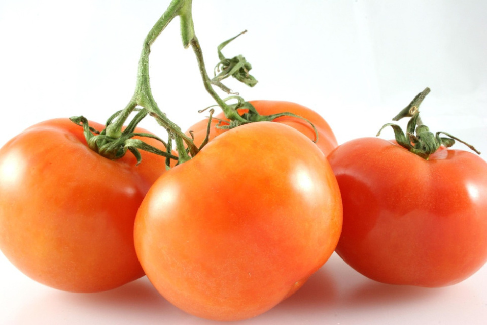 El tomate es la hortaliza más consumida a nivel mundial. El tomate es la hortaliza más consumida a nivel mundial.
