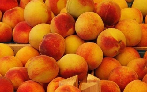 En el &aacute;mbito de las frutas y hortalizas los aranceles afectar&aacute;n a c&iacute;tricos en fresco, y melocot&oacute;n, cereza y pera en conserva.