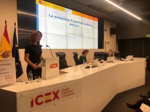 Xiana M&eacute;ndez hizo un llamamiento a las empresas para que elaboren Planes de Contingencia.