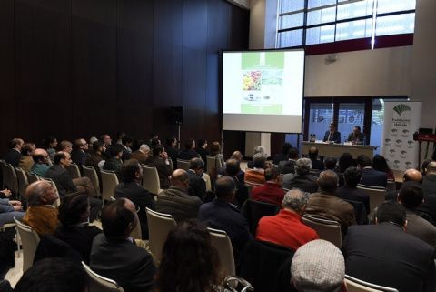 &lsquo;Informe Anual del Sector Agrario en Andaluc&iacute;a 2017&rsquo;.