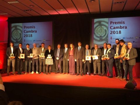 Premios C&aacute;mara.