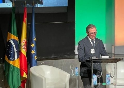 Fern&aacute;ndez de Mesa en seminario Espa&ntilde;a-Brasil.