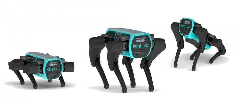 Robot Keybot.