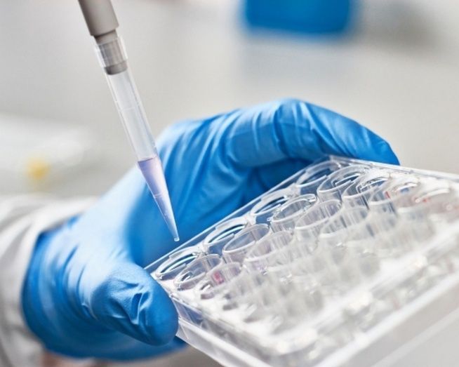 Fundada en 2000 en Barcelona, Espa&ntilde;a, Oryzon es una compa&ntilde;&iacute;a biofarmac&eacute;utica de fase cl&iacute;nica l&iacute;der europea en Epigen&eacute;tica.