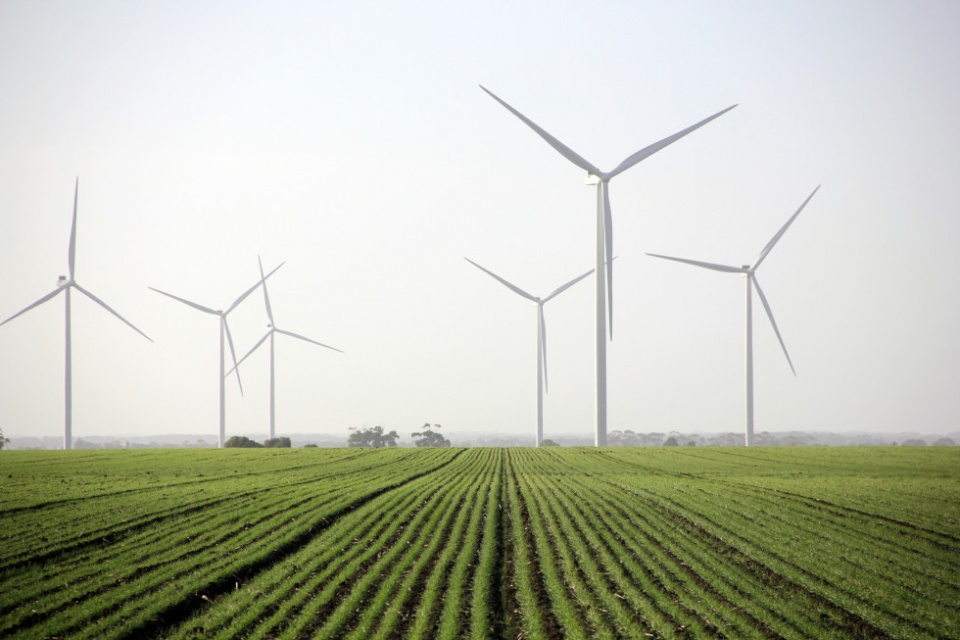 La nueva instalaci&oacute;n eleva la capacidad en operaci&oacute;n de Naturgy en Australia a 492 MW, equivalentes al consumo de 320.600 hogares.