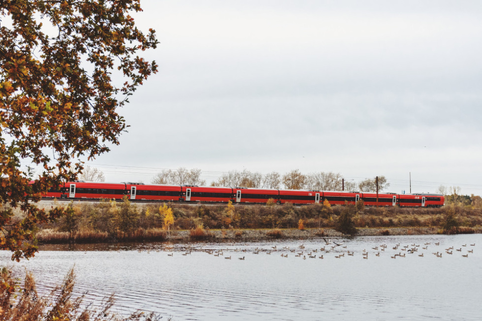 Talgo DSB Dinamarca.