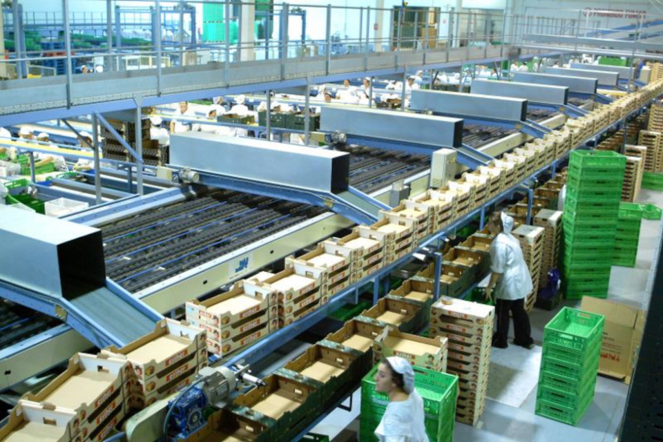 Exportaci&oacute;n de frutas.