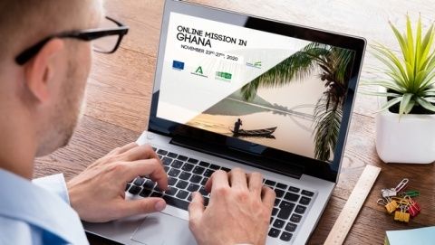 Misi&oacute;n comercial directa dirigida a Ghana.