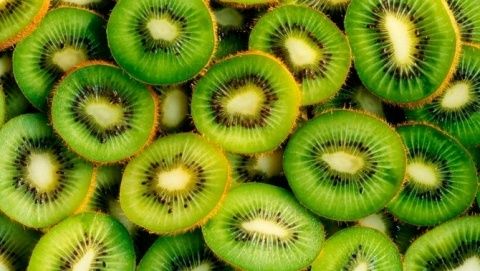Chile llega a ser el primer exportador de fruta fresca del hemisferio sur.