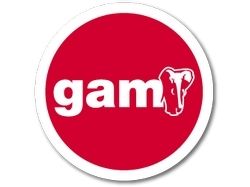GAM