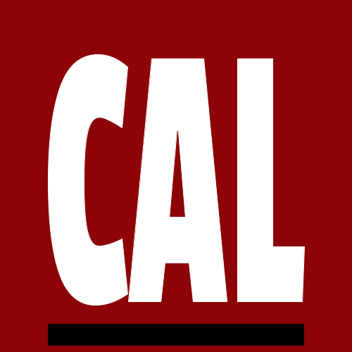 Sector calzado