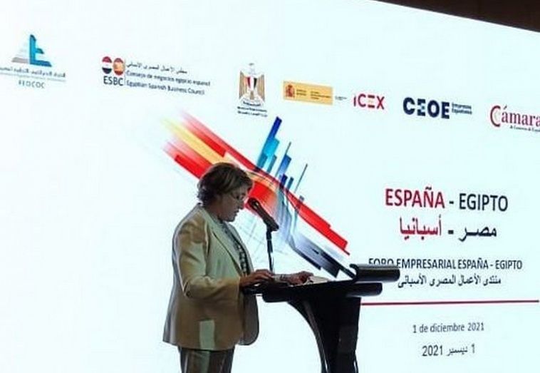 La directora general de la C&aacute;mara de Espa&ntilde;a, Inmaculada Riera.