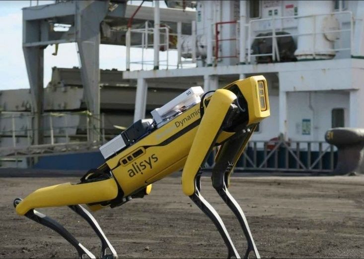 Robot Alisys.