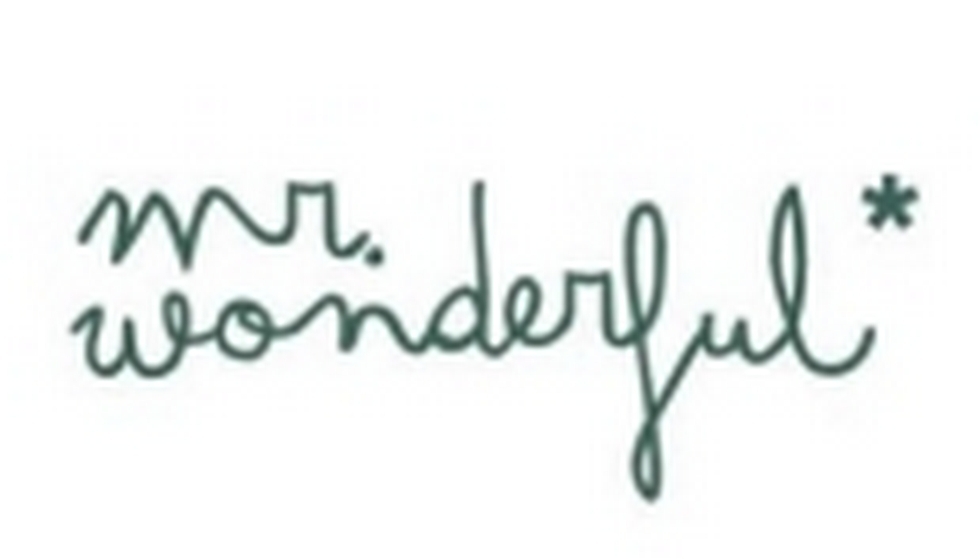 Mr. Wonderful