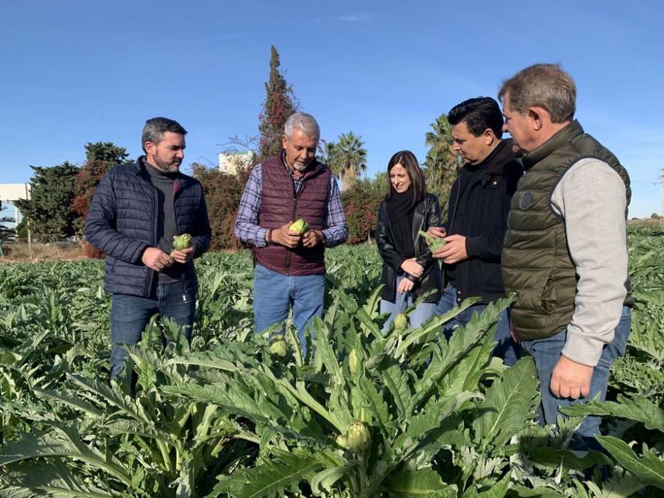 El consejero Antonio Luengo y el alcalde de San Javier, José Miguel Luengo, durante su visita a una finca de alcachofas del municipio. El consejero Antonio Luengo y el alcalde de San Javier, José Miguel Luengo, durante su visita a una finca de alcachofas del municipio.