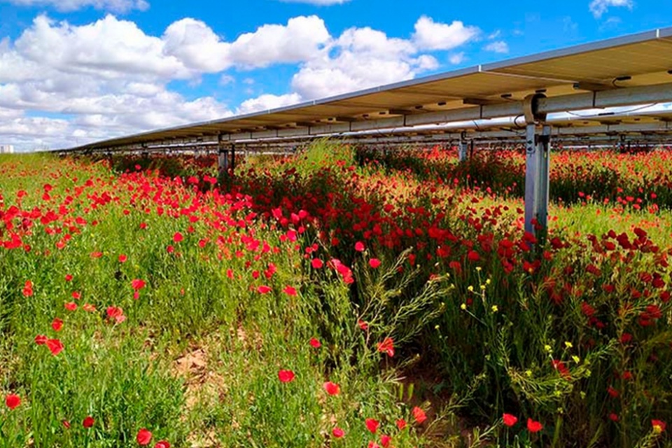 El pr&eacute;stamo se destinar&aacute; a la construcci&oacute;n de plantas fotovoltaicas de 188 MW en diversas localizaciones, la mayor&iacute;a de ellas en zonas rurales.