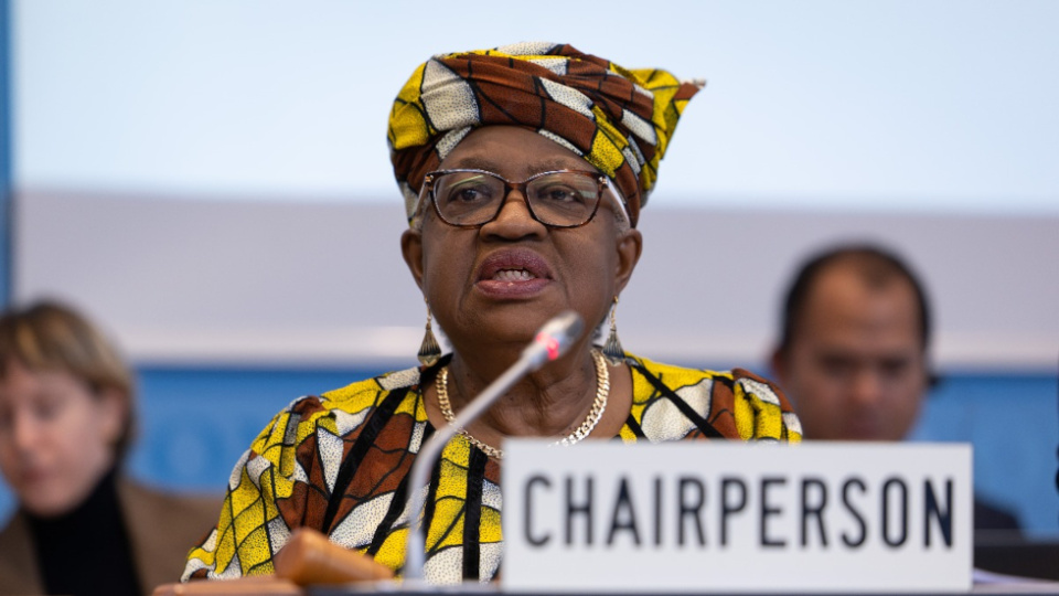 La DG Okonjo-Iweala subraya la necesidad de un programa espec&iacute;fico antes de una CM14 "de gran importancia".