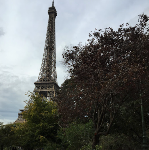 [Img #11597]
