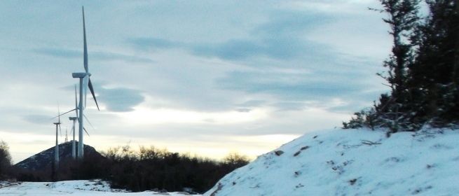[Img #8183]